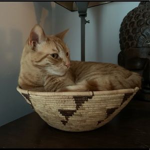 Meet your Posher, Mark